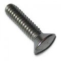 Screw Raised Countersunk Hd